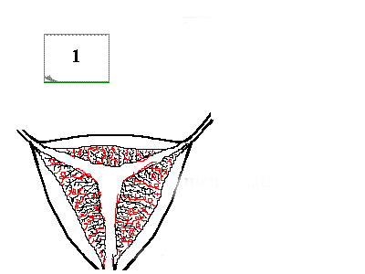 ������ ����� ������������