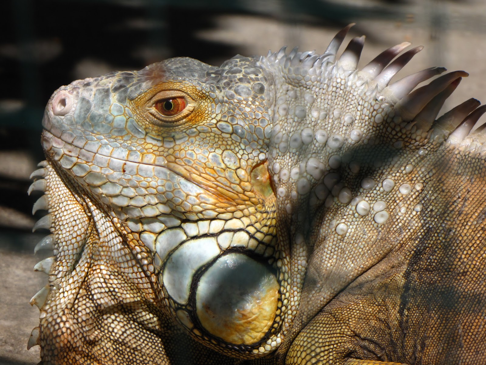 �� ����-���� ������� ������������� ��������� � �������� ...