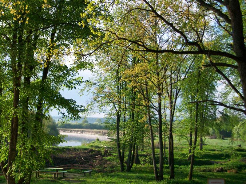 ������� �������������, �� ������ �.�. - �����, ��������, 121�