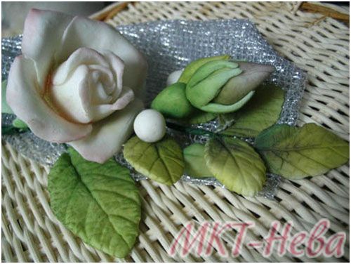 ������ ������� ��� ����� | ohostinge.info