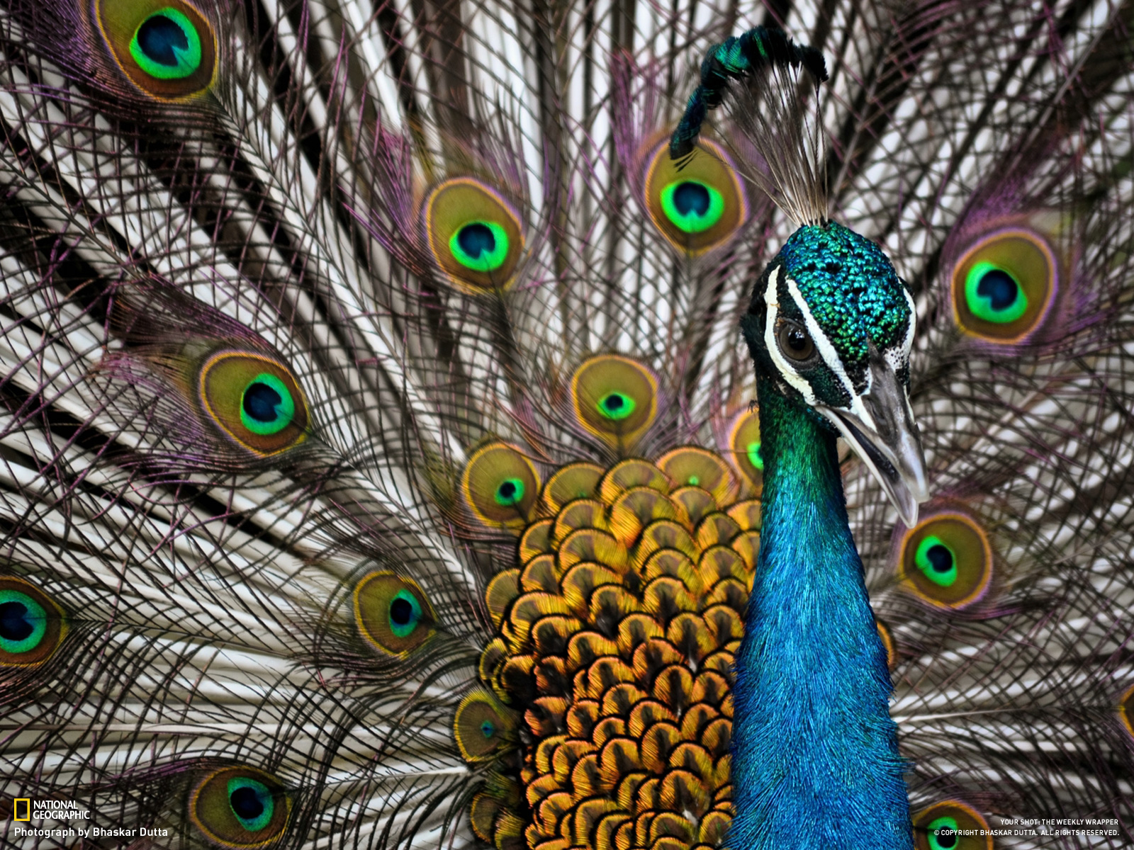 ��� ������� ��� �����? ���������, ���� ��� �������! // KP.RU