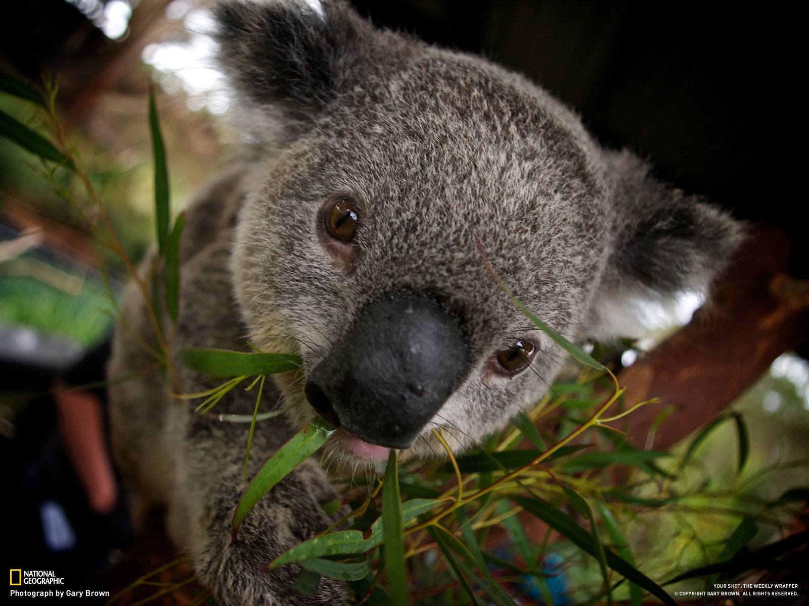 ���� Allprikol.ru > ���� > 101880 > 1024x768