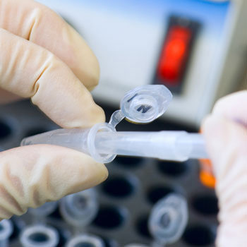 ������ �������� ������������ � ��� ��� ����������� ...