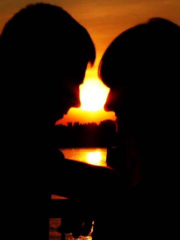 ��������, �����������, ������������� ����