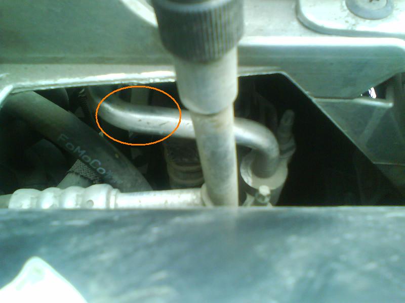 ���� ������������ - � �������� - ���� ����� ���������