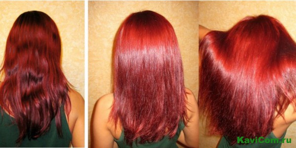 ������������ �� ��� ����� ��� ������ ��� ��� :: ������ ...