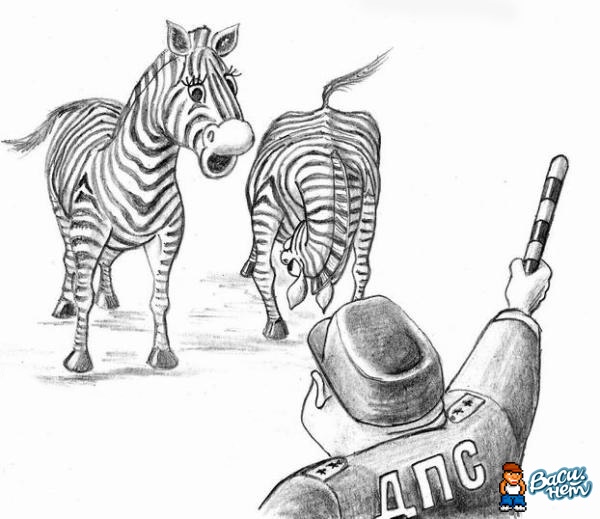 ���� ����� 4all - ������ ����� � �����