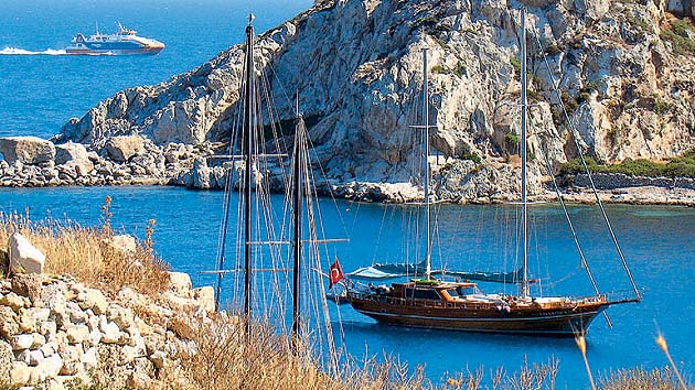 ���� ����� ���� - ���� �������� "